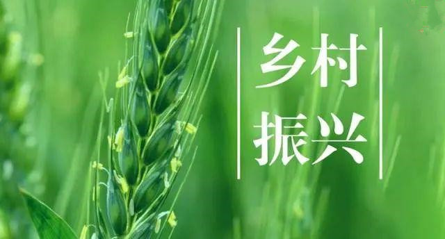 多省份一号文件发布 锚定“三农”硬任务