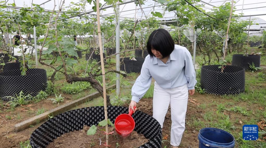 奋进新征程 建功新时代·老区新貌｜重返湘江畔，青春谋振兴