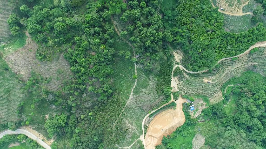 奋进新征程 建功新时代·老区新貌丨“转折之城”再写传奇