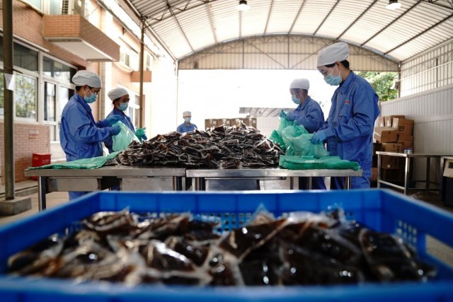 中医药发挥独特优势“防、治、康”全程助力抗疫