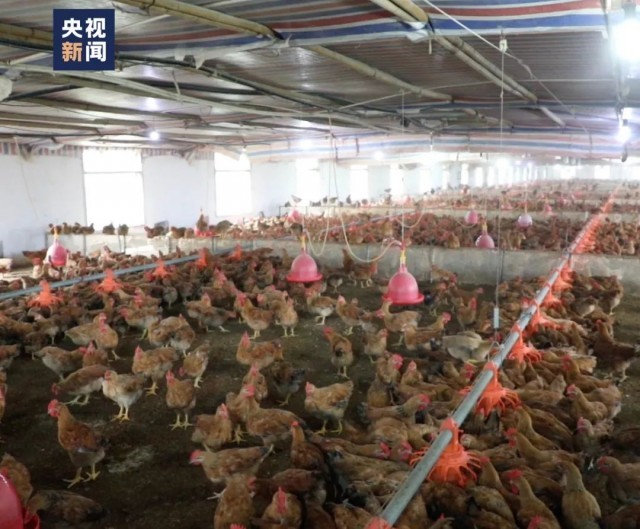 新技能，解锁