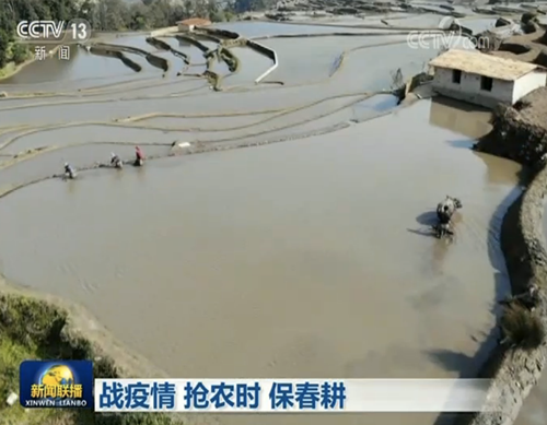 春耕春管不误时:战疫情抢农时要两手抓两手稳