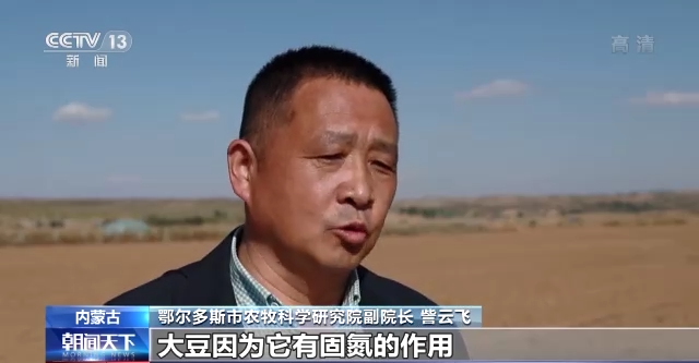 节成本提效率 各地多措并举促粮食增产
