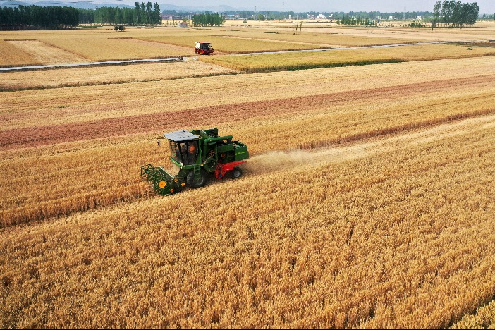 多地夏收全面完成 端牢饭碗添底气