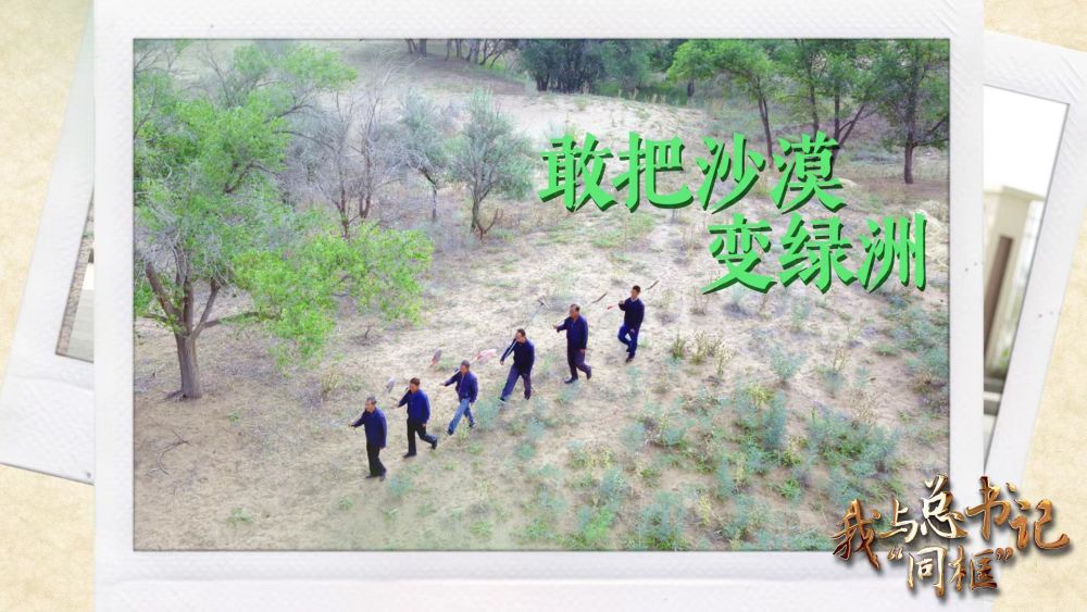 我与总书记“同框”｜敢把沙漠变绿洲