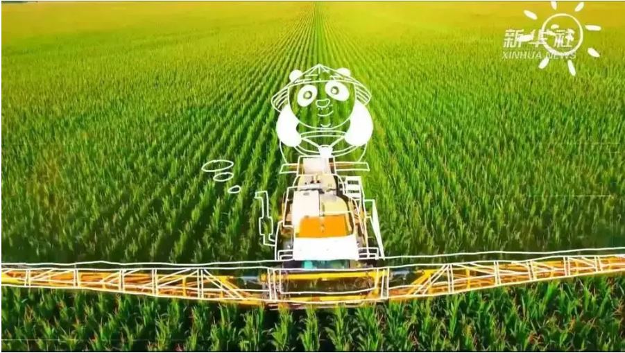 解读黑土地保护法：保护“耕地中的大熊猫”就是保障国家粮食安全