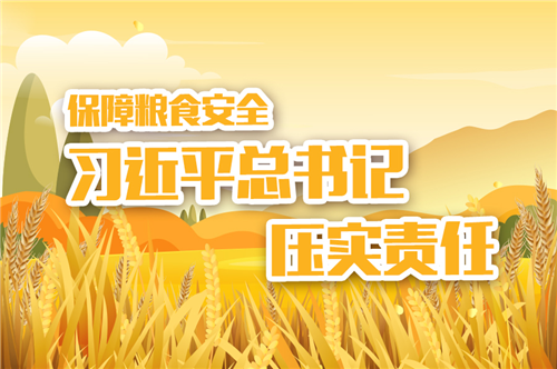 大国“粮”策|保障粮食安全，习近平总书记压实责任