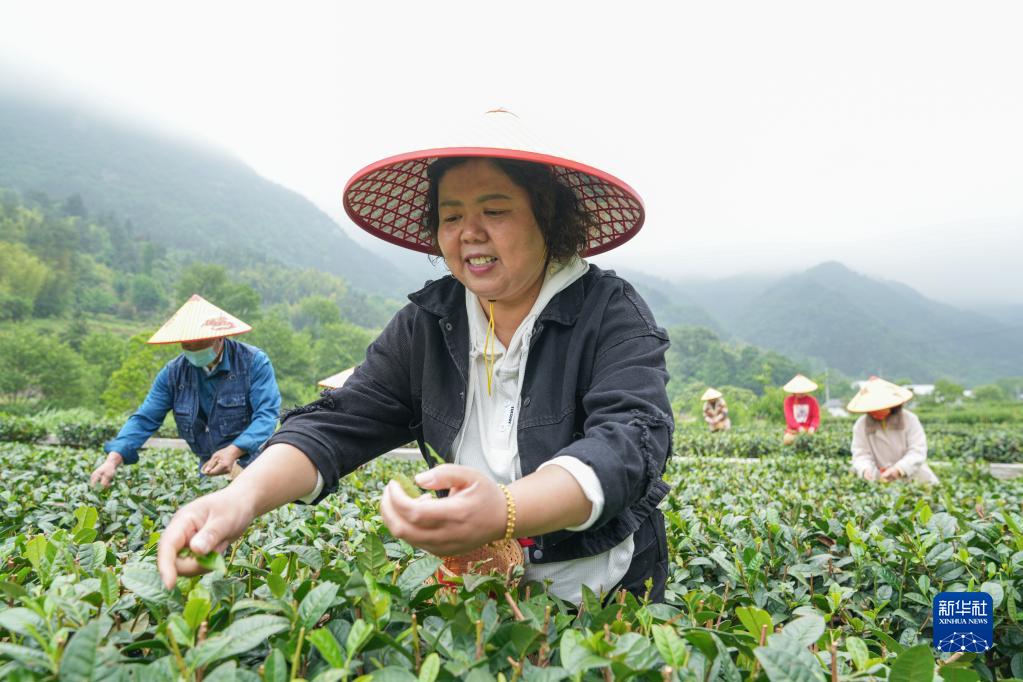 “绿起来”带动“富起来”——大别山区“两山”实践创新基地观察