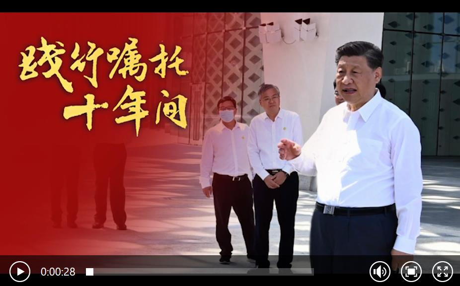 践行嘱托十年间丨把海南自由贸易港打造成展示中国风范的靓丽名片