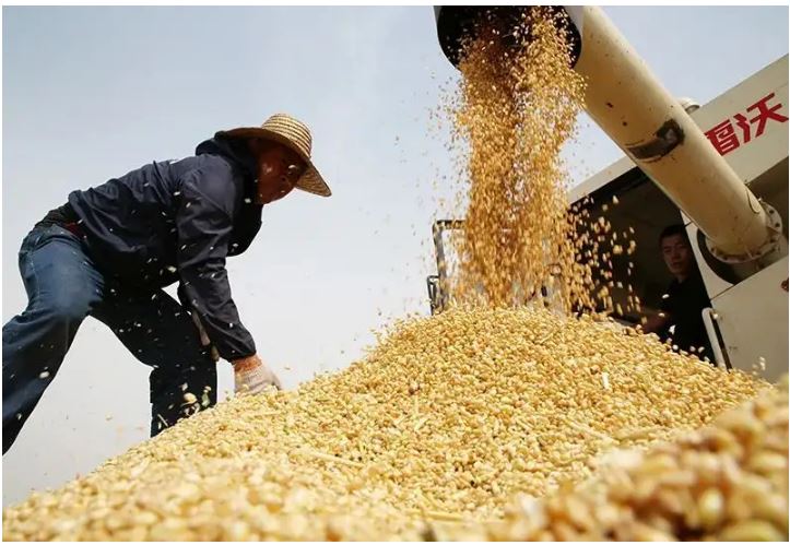 十年来我国粮食产能稳定提升