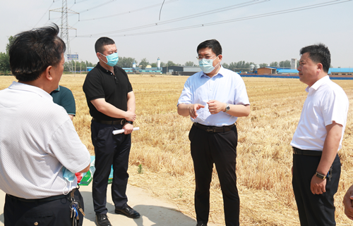 马军权调研夏收夏种工作时强调 切实扛牢粮食安全重任 扎实做好夏收夏种工作