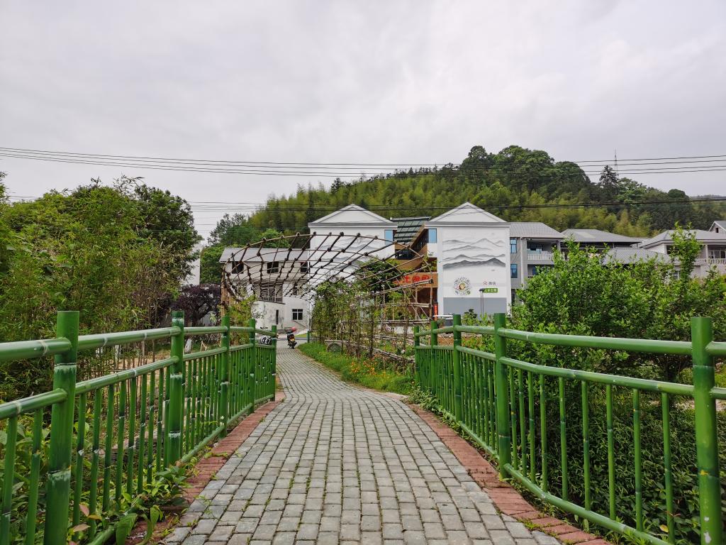 奋进新征程 建功新时代·老区新貌丨产业+电商——重庆秀山隘口镇“出山”记