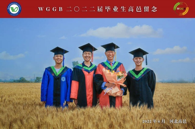 麦田里的毕业照：缺席毕业典礼，但不缺席科研现场
