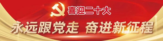 山东共青团不断增强引领力、组织力、服务力 “三力”激发青春势能