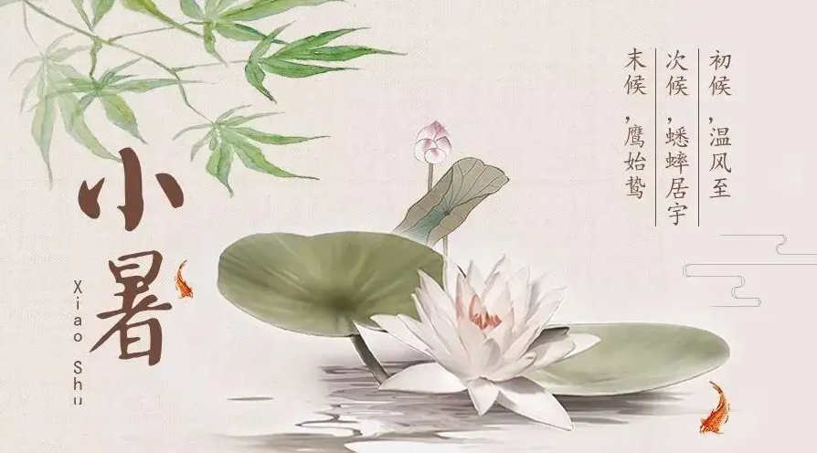 一年中雨最多的时候来了 大数据揭秘小暑“高温王”“暴雨王”