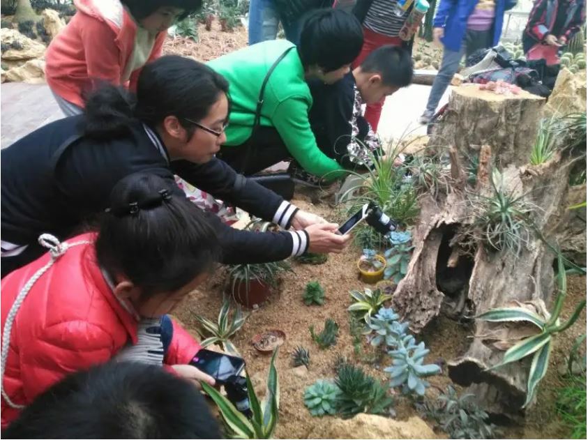 植物宝库也是自然课堂