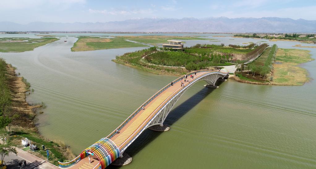 奋进新征程 建功新时代丨万顷碧波重现塞上——宁夏沙湖生态环境综合治理成效观察