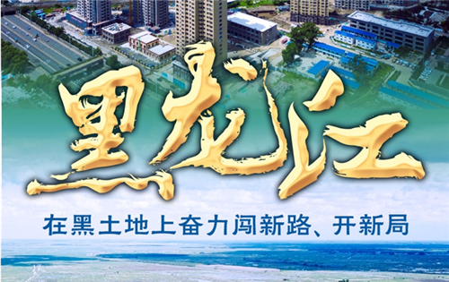 奋进新征程 建功新时代·非凡十年丨黑龙江：在黑土地上奋力闯新路、开新局