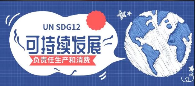推进可持续发展目标 数字一代重任在肩
