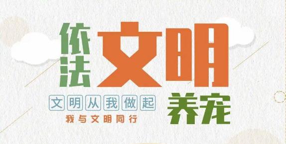宠物被遗弃现象频发 专家：弃养宠物 无视法律丢了文明