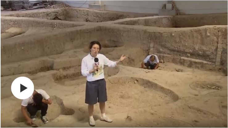 文明之美看东方丨桥头遗址：一万年前的稻壳