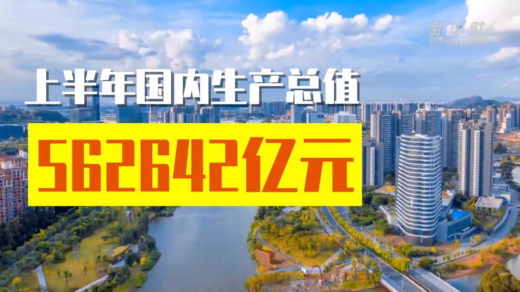 新华全媒+｜从2022年上半年经济数据看中国经济韧性