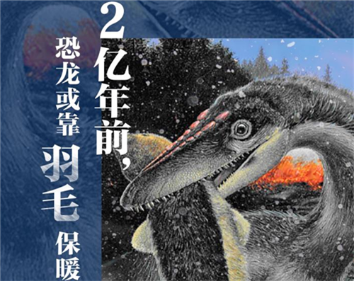 远古发现丨科学家发现恐龙或靠羽毛保暖挺过大灭绝