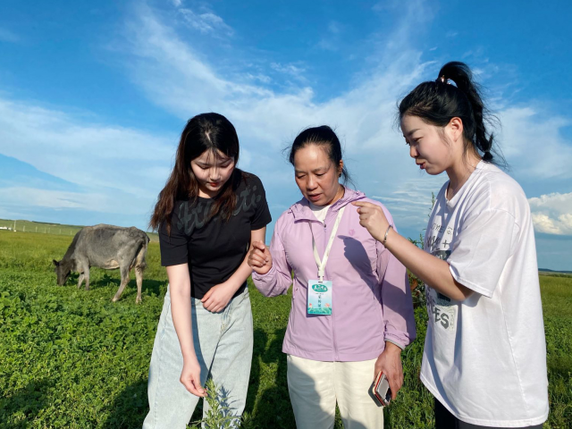 【美丽中国·网络媒体生态行】在草原上共寻思政课的“源头活水”