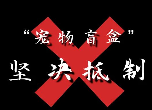 盲盒国家监管要来了！宠物盲盒、食品盲盒……拟禁止！