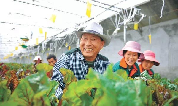 “组团式”援藏深入推进 产业援藏硕果累累 近7000名援藏干部人才助力西藏发展