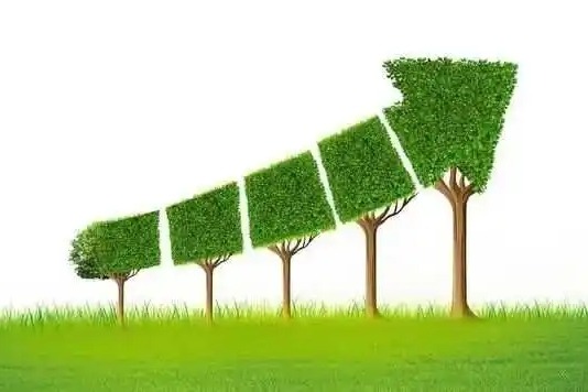 我国绿色贷款保持高速增长 二季度末贷款余额同比增长40.4%