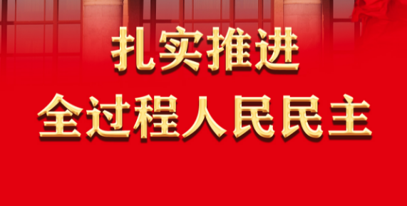 奋进新征程 建功新时代·非凡十年｜扎实推进全过程人民民主——新时代发展中国特色社会主义民主政治述评
