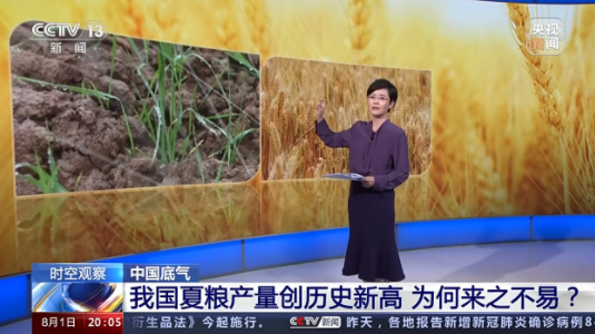 一张地图背后的粮食“中国碗”