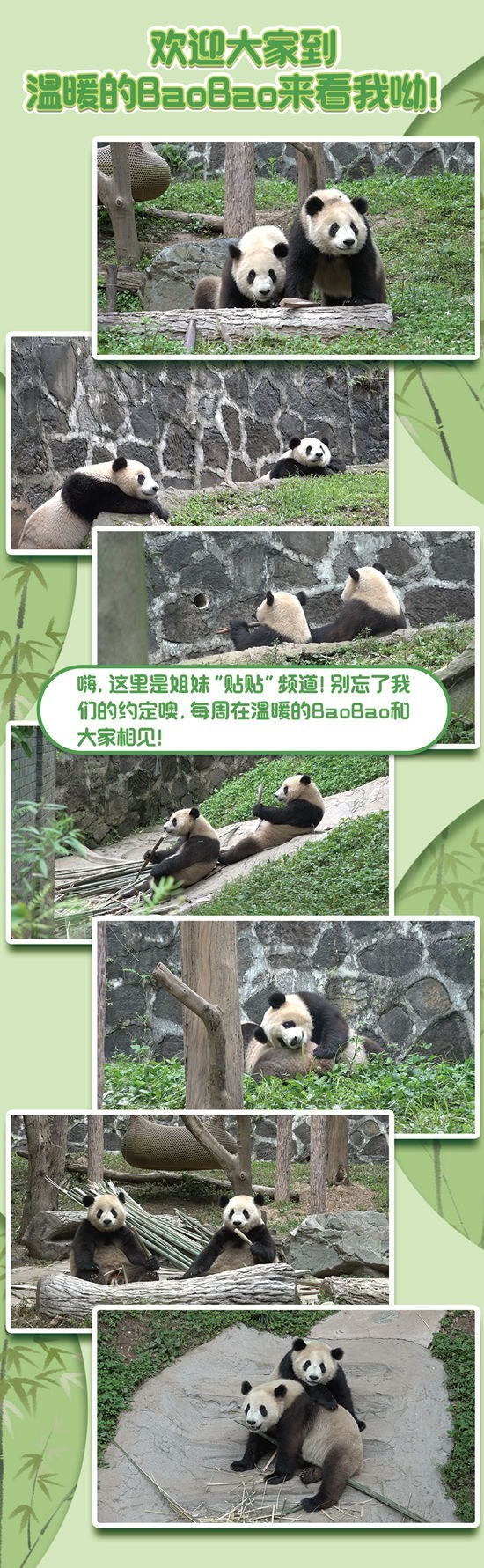 欢迎大家到温暖的BaoBao来看我哟！