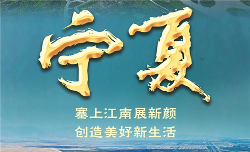 奋进新征程 建功新时代·非凡十年丨宁夏：塞上江南展新颜 创造美好新生活