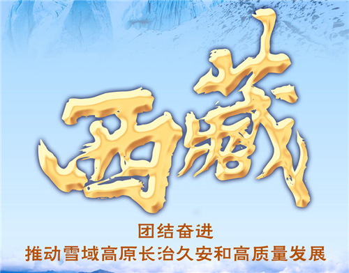 奋进新征程 建功新时代·非凡十年｜西藏：团结奋进推动雪域高原长治久安和高质量发展