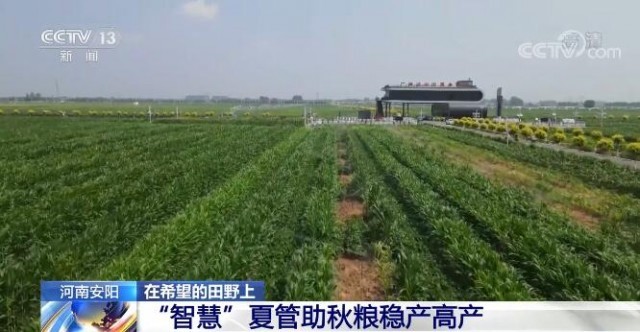 在希望的田野上 | “智慧”夏管实时掌握各项指标 助力秋粮稳产高产