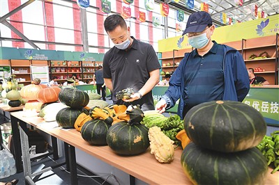 国家种业阵型企业名单公布——加快打造种业振兴骨干力量