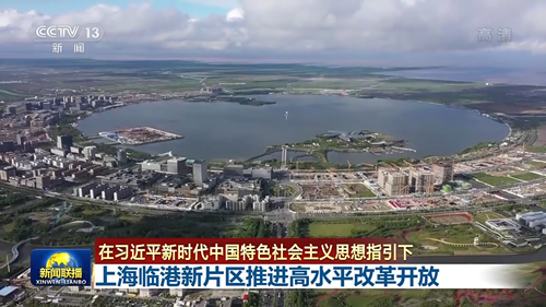 在习近平新时代中国特色社会主义思想指引下丨上海临港新片区推进高水平改革开放