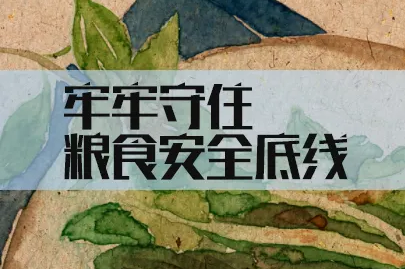 守住粮食安全这条底线（有的放矢）