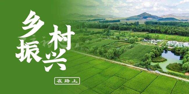两部门联合开展“科技助力乡村振兴行动”