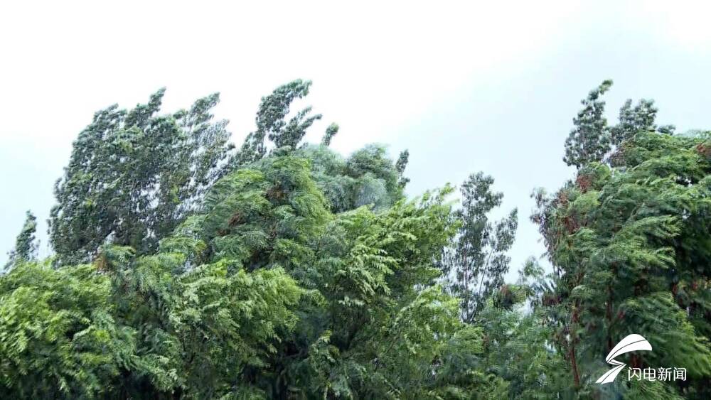 山东继续发布内陆大风蓝色预警 全省最高气温已降至30℃以下