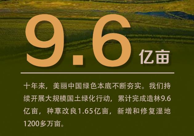 造林9.6亿亩！十年来美丽中国绿色本底不断夯实