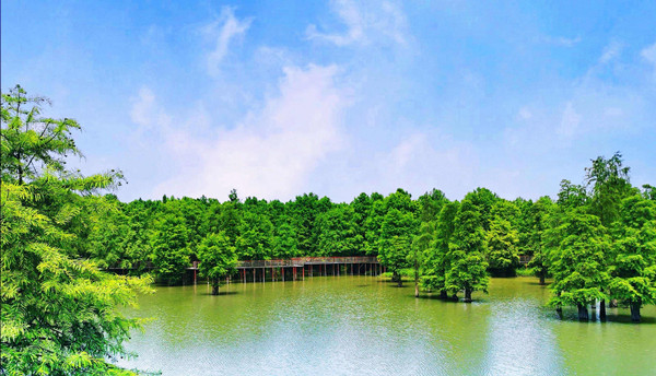 担当写在青山绿水间——"最美自然守护者"群像扫描
