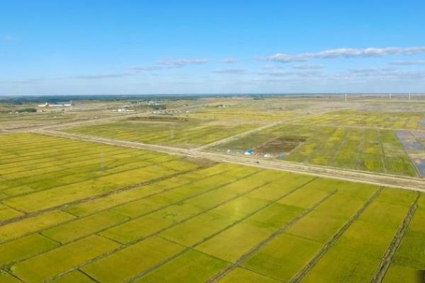 多地气温接近冰点 吉林发布霜冻灾害风险预警