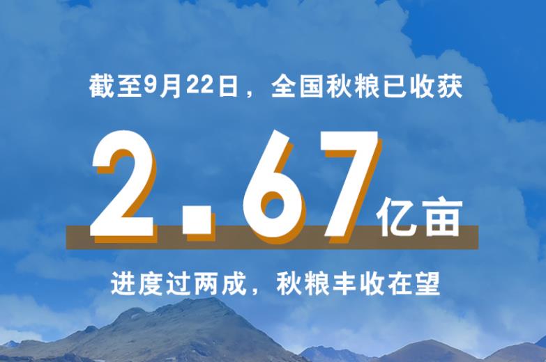 共庆好收成！一组数字描绘丰收里的中国