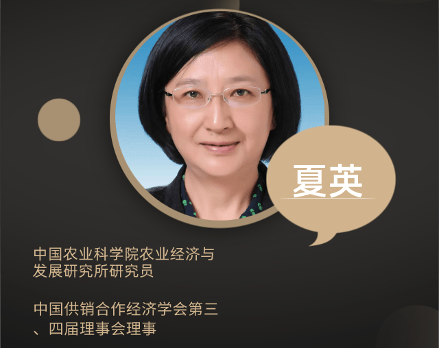 中国农科院夏英：提高粮食收购价，农民会更爱惜土地
