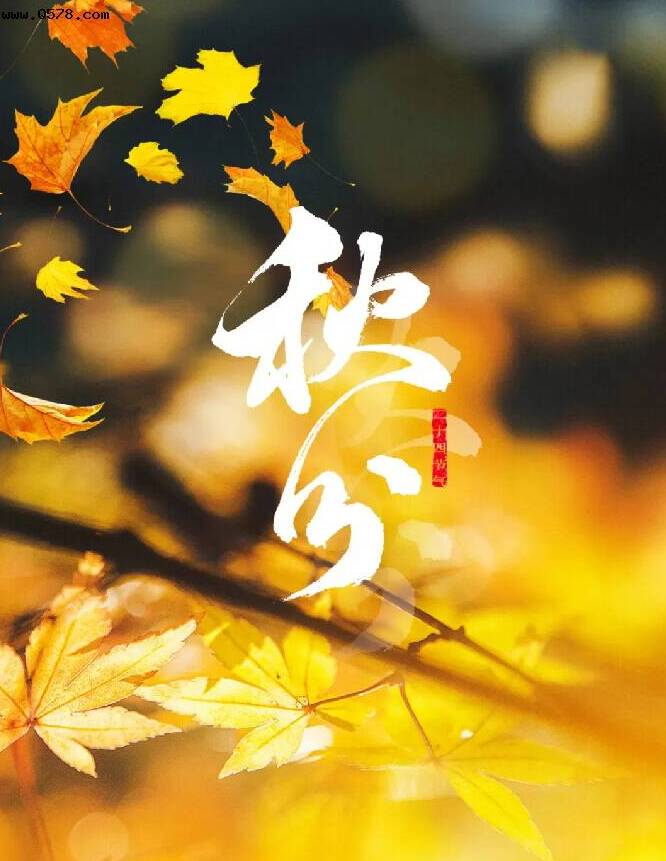 今日秋分丨恰是人间好时节
