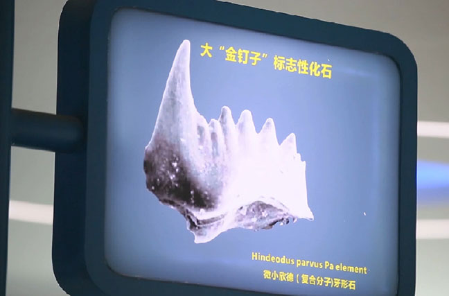 中国7个地质遗迹入选全球首批地质遗产地名录