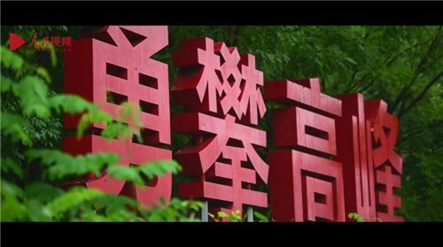 跟着总书记看中国丨百炼成钢攀高峰